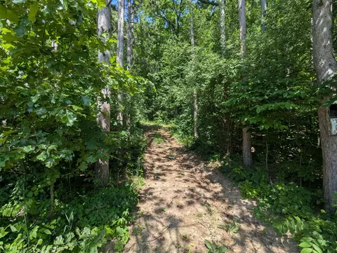 V/l North, Bellevue, MI 49021