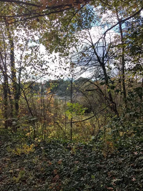 66991 Winding Riv, Constantine, MI 49042 photo 2