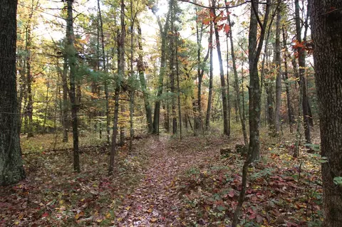 Other - 7005 E 56th, Newaygo, MI 49337 photo 7 of 8