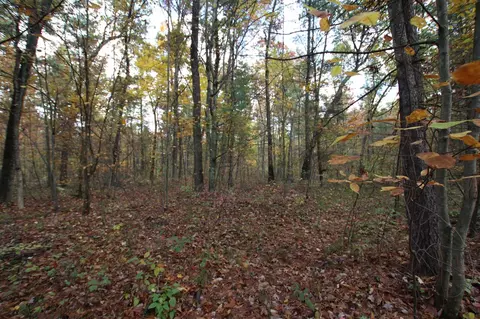 Other - 7005 E 56th, Newaygo, MI 49337 photo 4 of 8