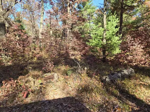 V/l M37, Baldwin, MI 49304 photo 2