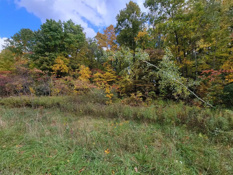  74066 Ridgeway, Lawton, MI 49065 photo 4