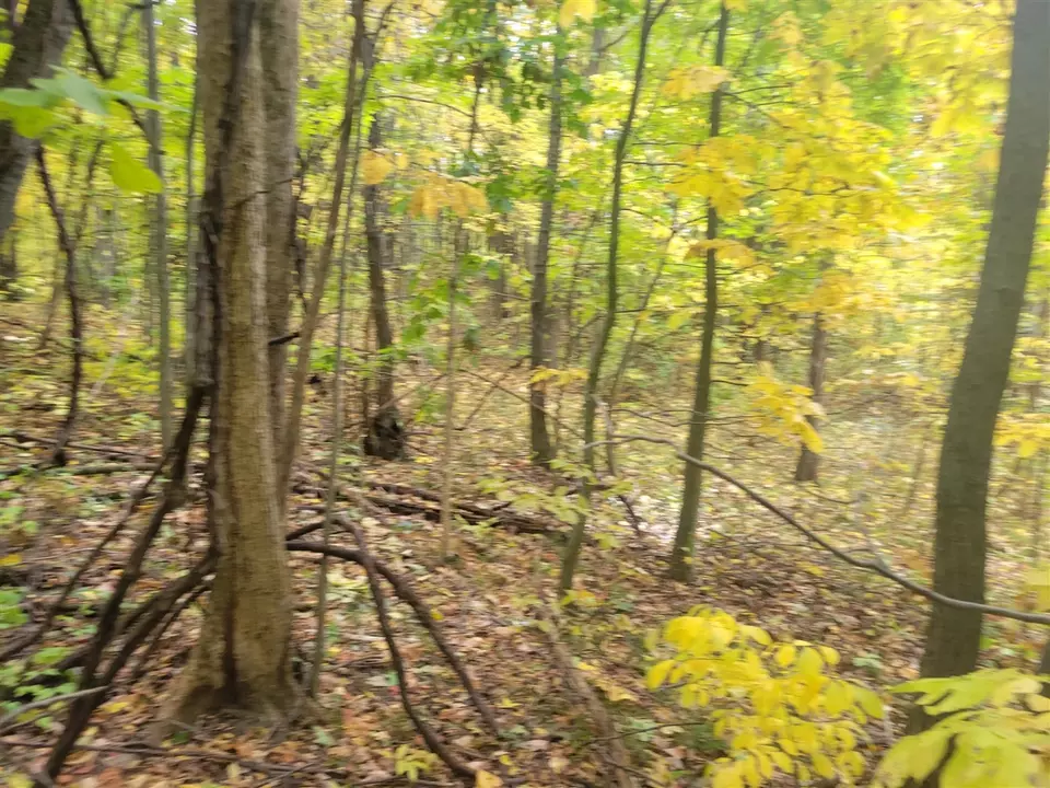  74066 Ridgeway, Lawton, MI 49065 photo 3