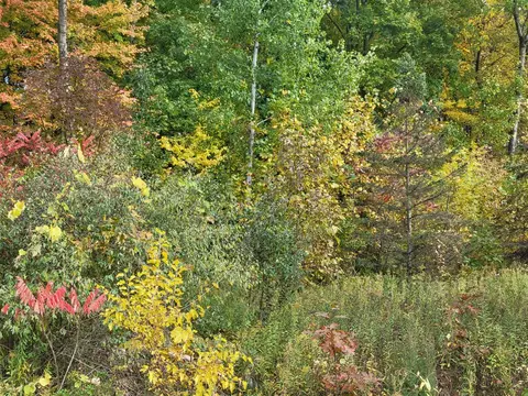 74066 Ridgeway, Lawton, MI 49065