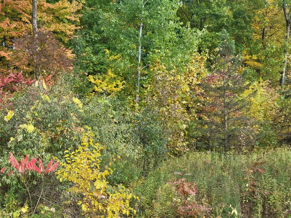  74066 Ridgeway, Lawton, MI 49065 photo 1