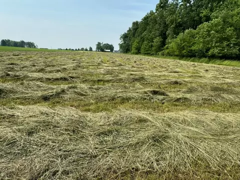Other - 1284 Codling, Adrian, MI 49221 photo 14 of 14