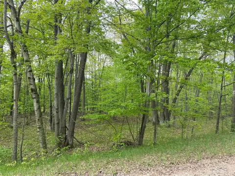 Ticino, Reed City, MI 49677