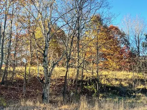 9955 Wiitala, Copemish, MI 49625