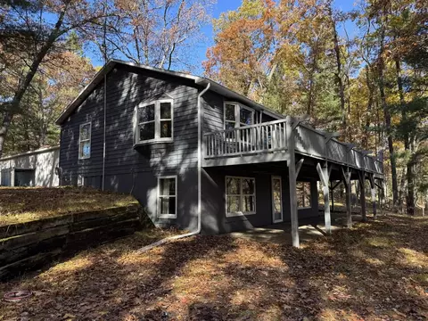 10031 W W Riv, Irons, MI 49644