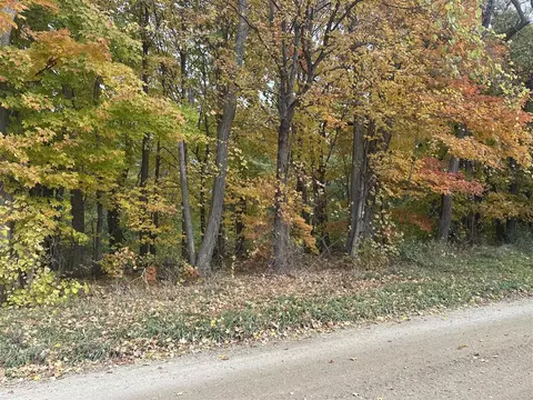 12831 Strotheide, Belding, MI 48809 photo 2