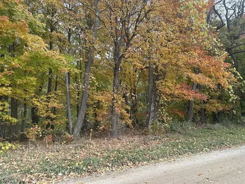 12831 Strotheide, Belding, MI 48809 photo 3
