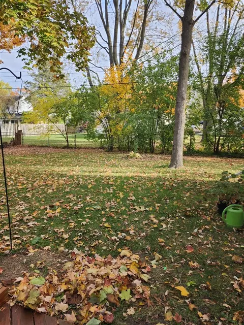 267 Tower, Saline, MI 48176 photo 27