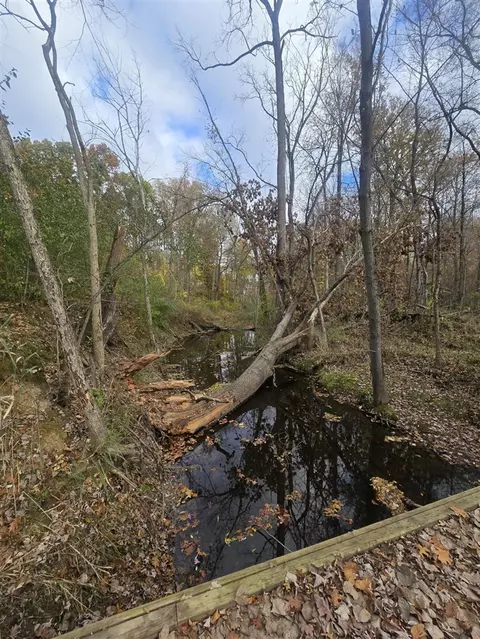 13395 Warner, Perry, MI 48872 photo 9