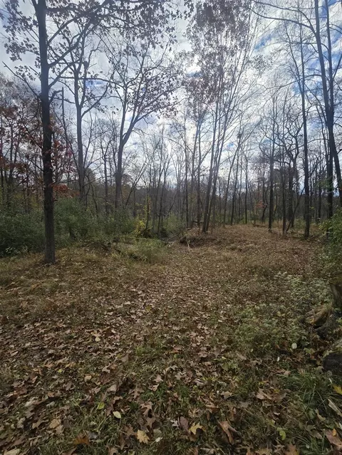 13395 Warner, Perry, MI 48872 photo 6