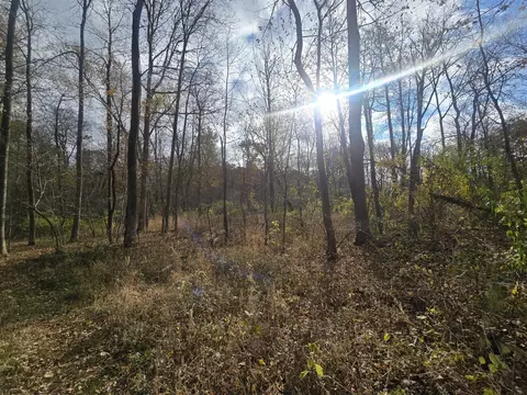 13395 Warner, Perry, MI 48872 photo 3