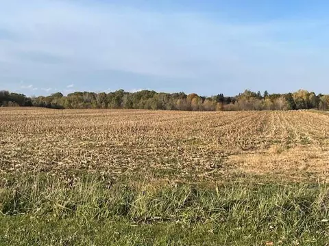 Wickwire, Benton Harbor, MI 49022 photo 13