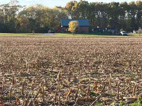 Wickwire, Benton Harbor, MI 49022 photo 14