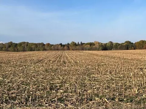 Wickwire, Benton Harbor, MI 49022