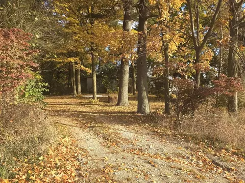 Exterior - 14308 Garber, Constantine, MI 49042 photo 12 of 13