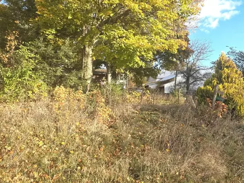 Exterior - 14308 Garber, Constantine, MI 49042 photo 13 of 13