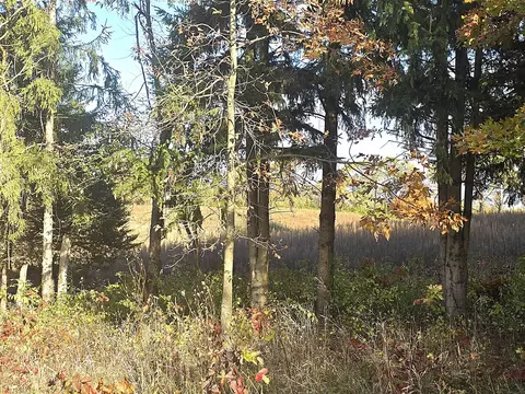 Other - 14308 Garber, Constantine, MI 49042 photo 7 of 9