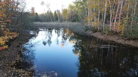 View/Area - 4116 Dutcher, Gladwin, MI 48624 photo 2 of 12