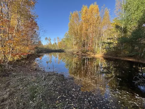 View/Area - 4116 Dutcher, Gladwin, MI 48624 photo 1 of 12