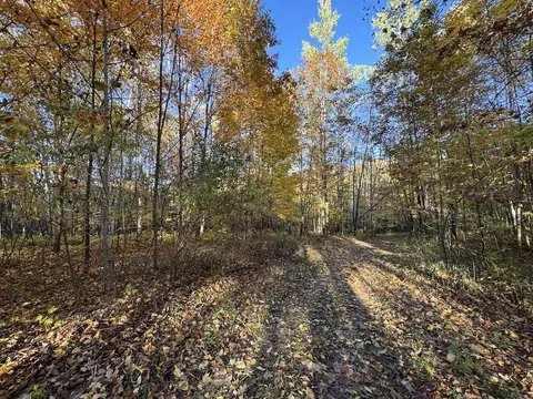 Exterior - 4116 Dutcher, Gladwin, MI 48624 photo 18 of 24