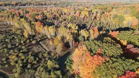 Other - 4116 Dutcher, Gladwin, MI 48624 photo 21 of 28