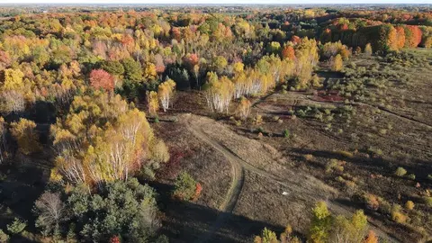 View/Area - 4116 Dutcher, Gladwin, MI 48624 photo 9 of 12