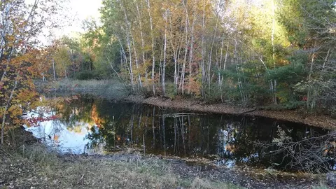 View/Area - 4116 Dutcher, Gladwin, MI 48624 photo 3 of 12
