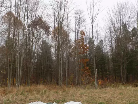 V/l Cr-378, Covert, MI 49043 photo 11