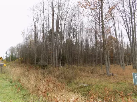 V/l Cr-378, Covert, MI 49043 photo 3