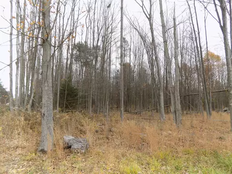 V/l Cr-378, Covert, MI 49043 photo 6