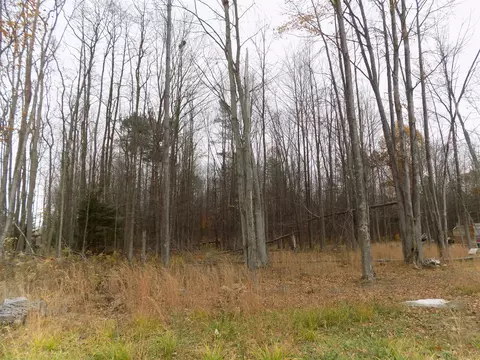 V/l Cr-378, Covert, MI 49043 photo 17