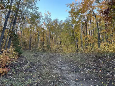 14281 Sandown #268 & 269, Cheboygan, MI 49721