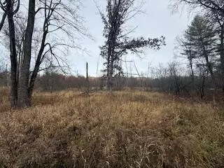 438 E 32nd, Baldwin, MI 49304 photo 9