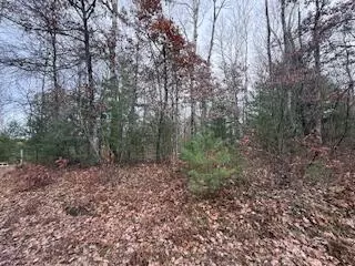 438 E 32nd, Baldwin, MI 49304 photo 32