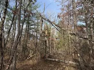 438 E 32nd, Baldwin, MI 49304 photo 36