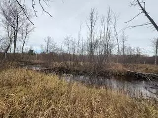 438 E 32nd, Baldwin, MI 49304 photo 18