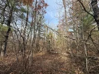 438 E 32nd, Baldwin, MI 49304 photo 37