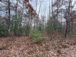 438 E 32nd, Baldwin, MI 49304 photo 34