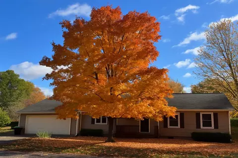 1990 Black Bark, Traverse City, MI 49696