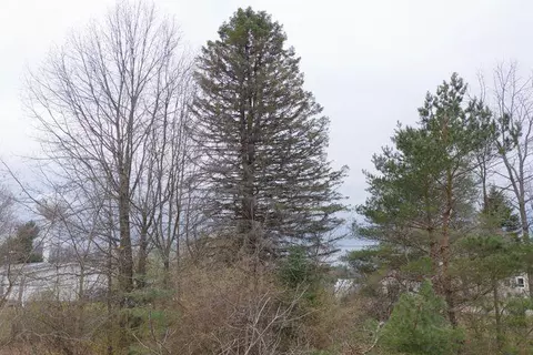 0 Bond, Harrison, MI 48625 photo 7