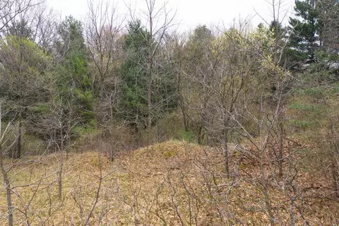 0 Bond, Harrison, MI 48625 photo 4