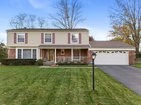 8670 Tamarack, Shelby Township, MI 48317