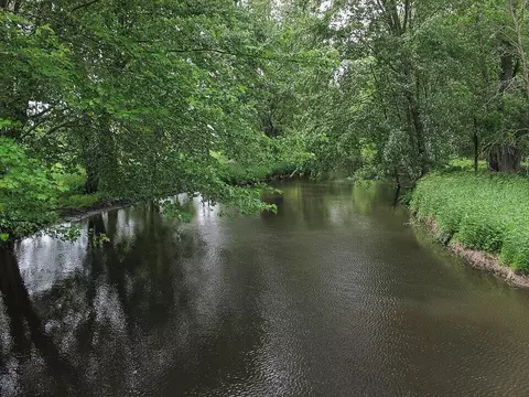 11565 M216, Marcellus, MI 49067 photo 6