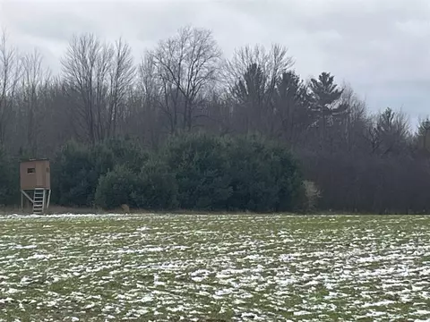 Par A Nimberger, Lakeview, MI 48850