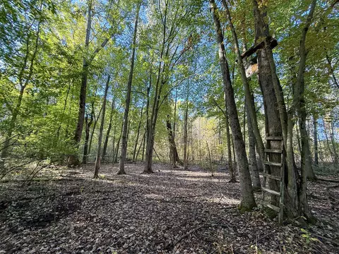 7710 21 Mile, Sand Lake, MI 49343