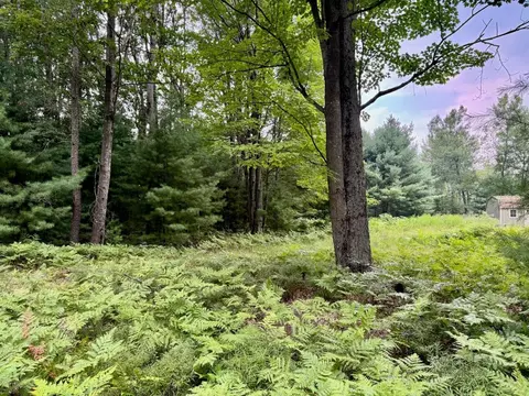 6293 Cedar, Canadian Lakes, MI 49346